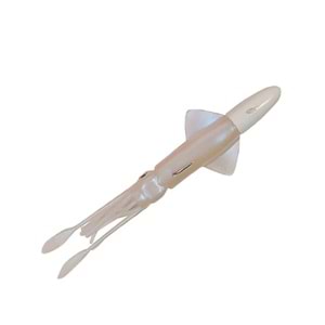 Ryuji Calamari 150 Gr. Pearl White UV